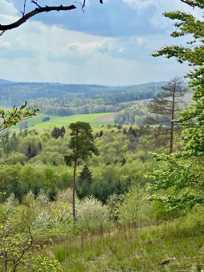Haus Elise Villa Kirchheim unter Teck Dış mekan fotoğraf